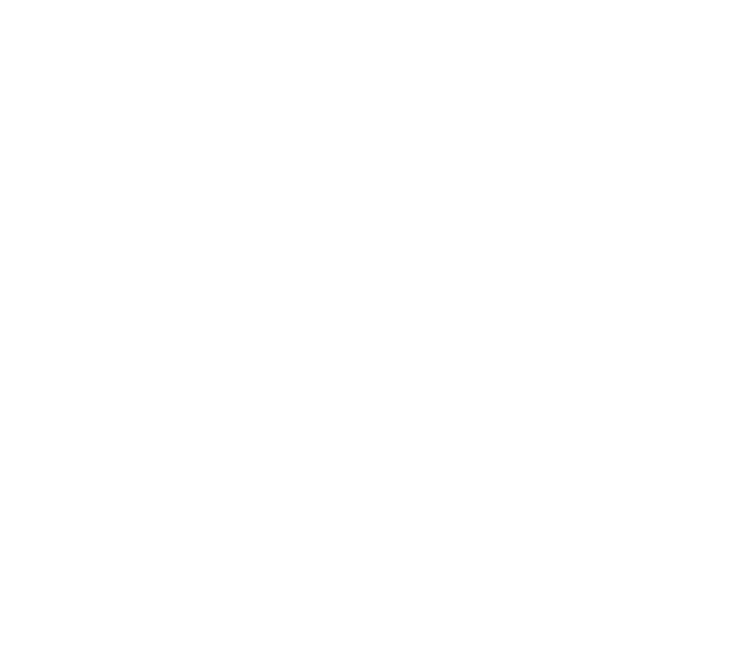 Shape 101 copy 2
