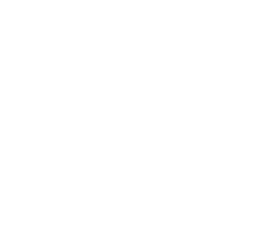 Shape 101 copy